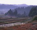 040：　新潟県　松之山町