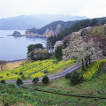 058：　静岡県　黄金崎