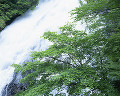 020：　栃木県　日光　竜頭滝