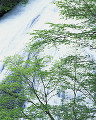 021：　栃木県　日光　竜頭滝