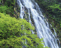 022：　長野県　樽滝