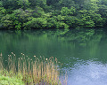 090：　青森県　十二湖