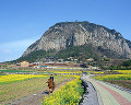 077：　済洲島 山房山