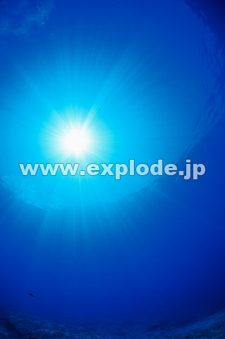 001F@ž@@