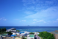 024：沖縄　海洋博公園　沖縄本島　本部半島