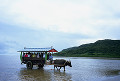 080：沖縄　水牛車　西表島