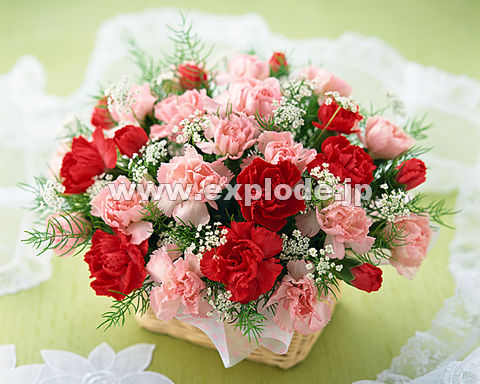 �J�[�l�[�V�����A�����W