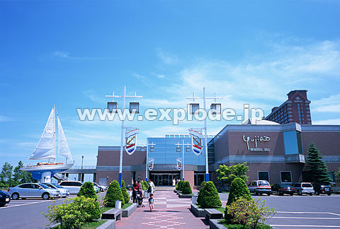 081F@M@M`}[i@ΌTYLOف@