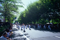 016：　札幌　YOSAKOIソーラン祭り　夏