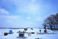 024：　札幌　羊ヶ丘展望台　クラーク博士像　冬