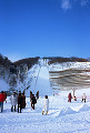 029：　札幌　大倉山ジャンプ競技場　冬