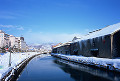 068：　小樽　小樽運河　冬