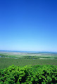 089：　釧路　釧路湿原　夏