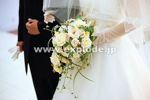 014F@Jbv(ԉŁEԖ)@I[ou[P(o)@hX@X[c