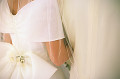 002：　カップル(花嫁・花婿)　組んだ腕　後ろ姿　ドレス　スーツ　背中