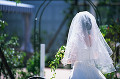 032：　花嫁　後ろ姿　ドレス　ベール　ガーデン