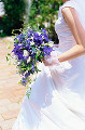 035：　花嫁　オーバルブーケ(デルフィニウム)　ドレス