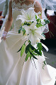 053：　花嫁　キャスケードブーケ(カサブランカ)　ドレス　ベール