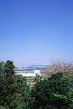 港の見える丘公園から横浜ベイブリッジ
