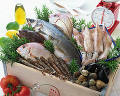 スズキ イタリアン魚介類集合