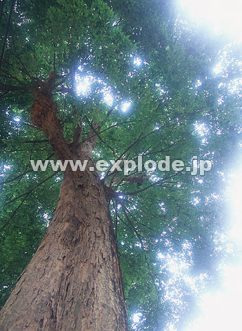 019�F�@�P���L�@�k��V���Ё@�����s�����q�s�@�s�w��V�R�L�O���@