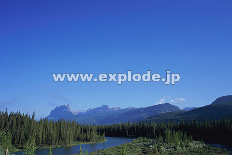 �J�i�_ �A���o�[�^�B �o���t �L���b�X���}�E���e�� �J�i�f�B�A�����b�L�[