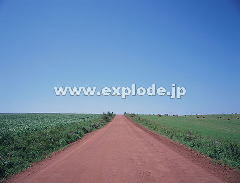 �J�i�_ �v�����X�G�h���[�h�� �V���[���b�g�^�E��