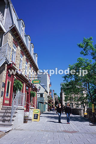 �J�i�_ �P�x�b�N�B �P�x�b�N�E�V�e�B �v�e�B�V�����v�����ʂ�