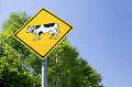 100：上富良野　牛通行注意道路標識