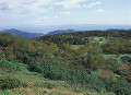 053：知床　知床原生林　オホーツク　国後島