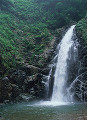 071：白神山地　暗門の滝　初夏