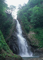 072：白神山地　暗門の滝　初夏