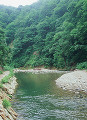 073：白神山地　暗門川　初夏