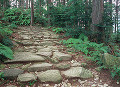 091：紀伊山地　熊野古道　馬越峠