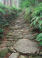 093：紀伊山地　熊野古道　馬越峠