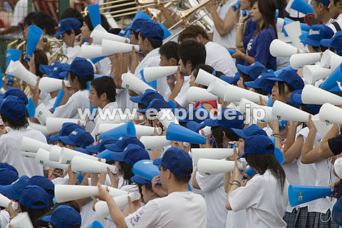 019�F����