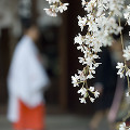 008：大石神社