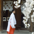 009：大石神社