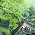 033：貴船神社