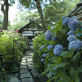 037：藤森神社
