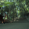 041：石清水八幡宮