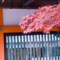 076：大原野神社