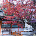 077：大原野神社
