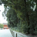 081：賀茂御祖神社