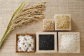 022：多品種米