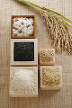 023：多品種米