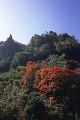 015：大分県　耶馬溪