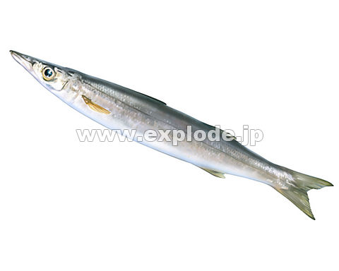 023�F�J�}�X