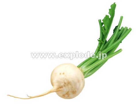 040�F�J�u