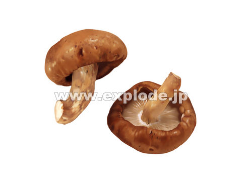 057�F�V�C�^�P